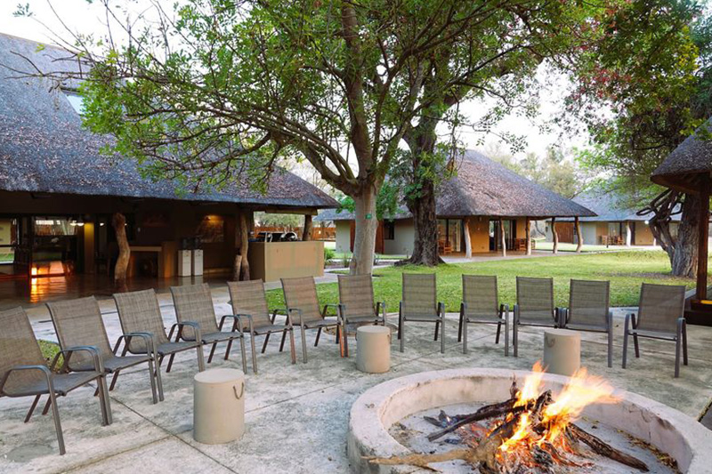 Klaserie-Lodges-and-Camps-Senalala-Safari-Lodge