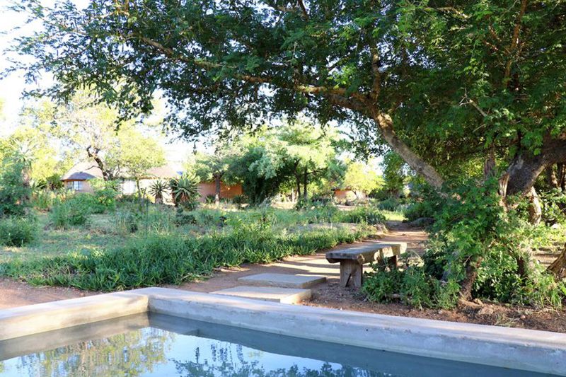 Klaserie-Lodges-and-Camps-Wlid-Legacy-Safaris