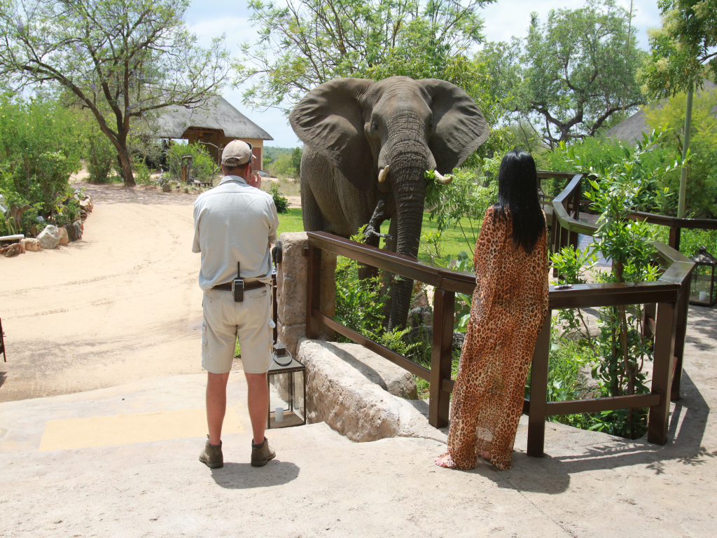Makumu Elephant Lodge