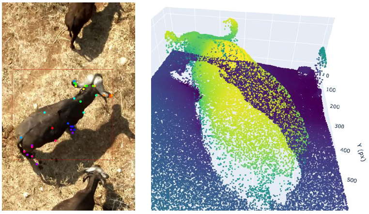 Buffalo - Monitoring