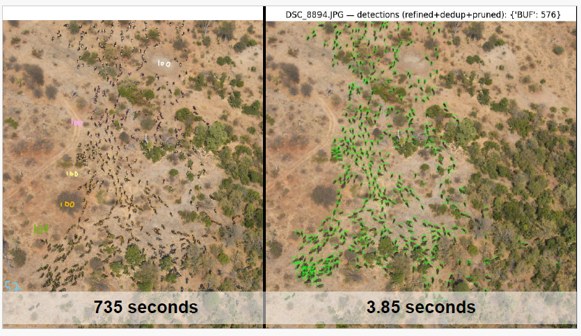 Buffalo - Counting 2