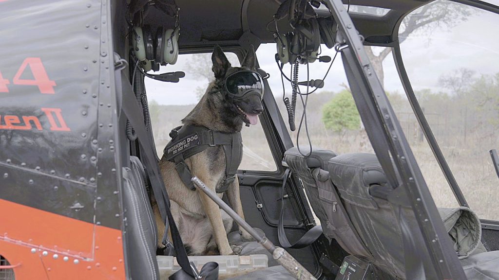 Klaserie Anti Poaching Unit K9