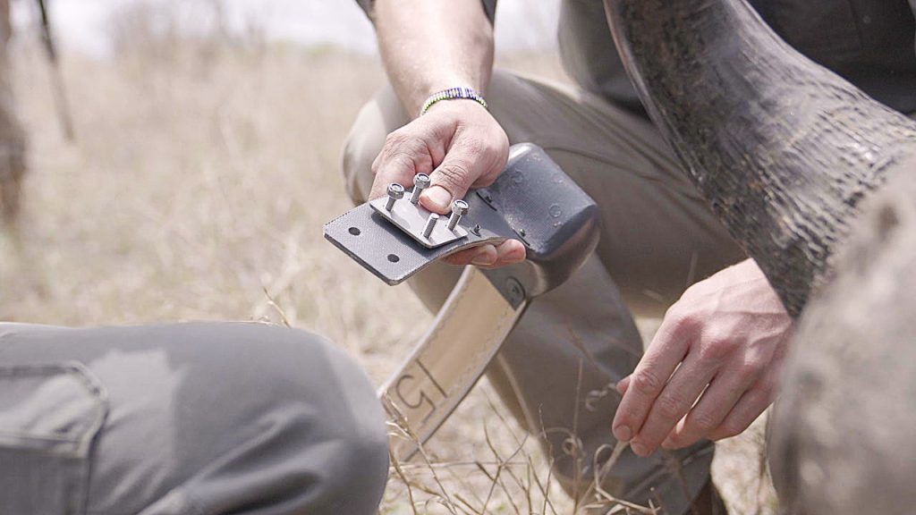 KLaserie Conservation 2