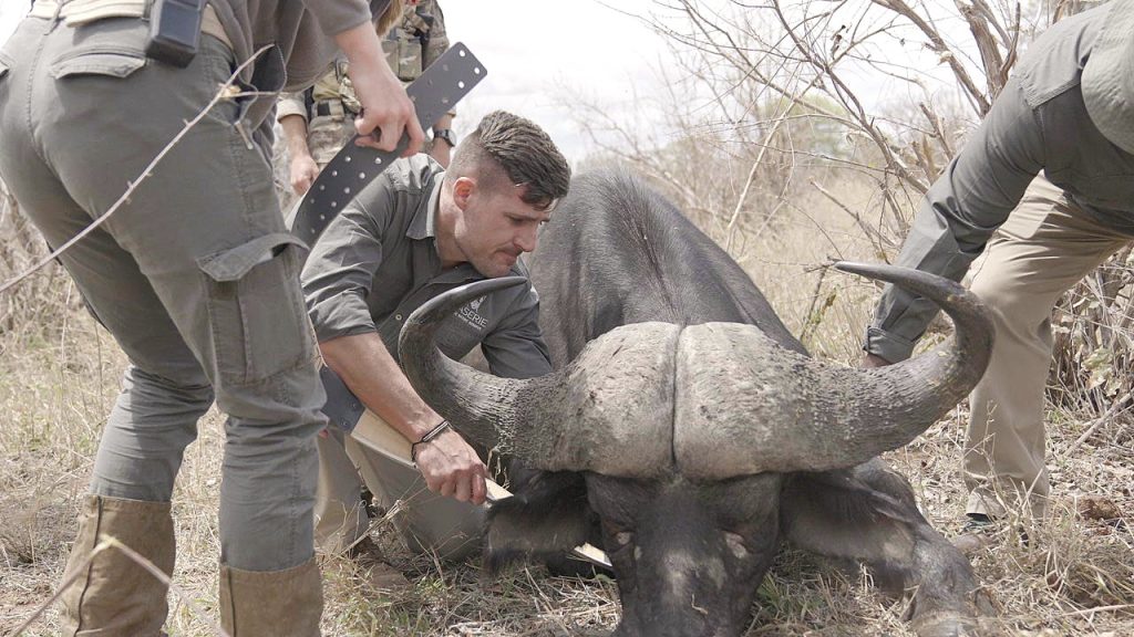 Klaserie Conservation 1